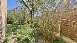 Photo 14- click for photo gallery